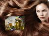 Какие масла полезны для волос: описание самых лучших натуральных средств
